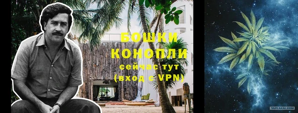 ешки Белокуриха