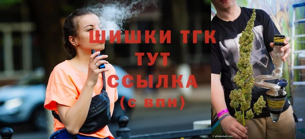 2c-b Тайга