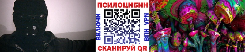 Псилоцибиновые грибы мухоморы  купить наркоту  Шлиссельбург 